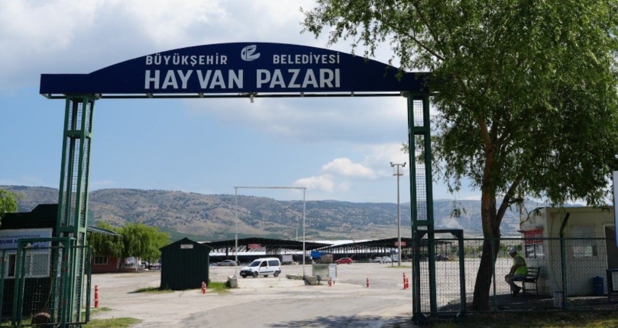 belediye acikladi sap hastaligi nedeniyle hayvan pazari kapatildi uThhOhVi