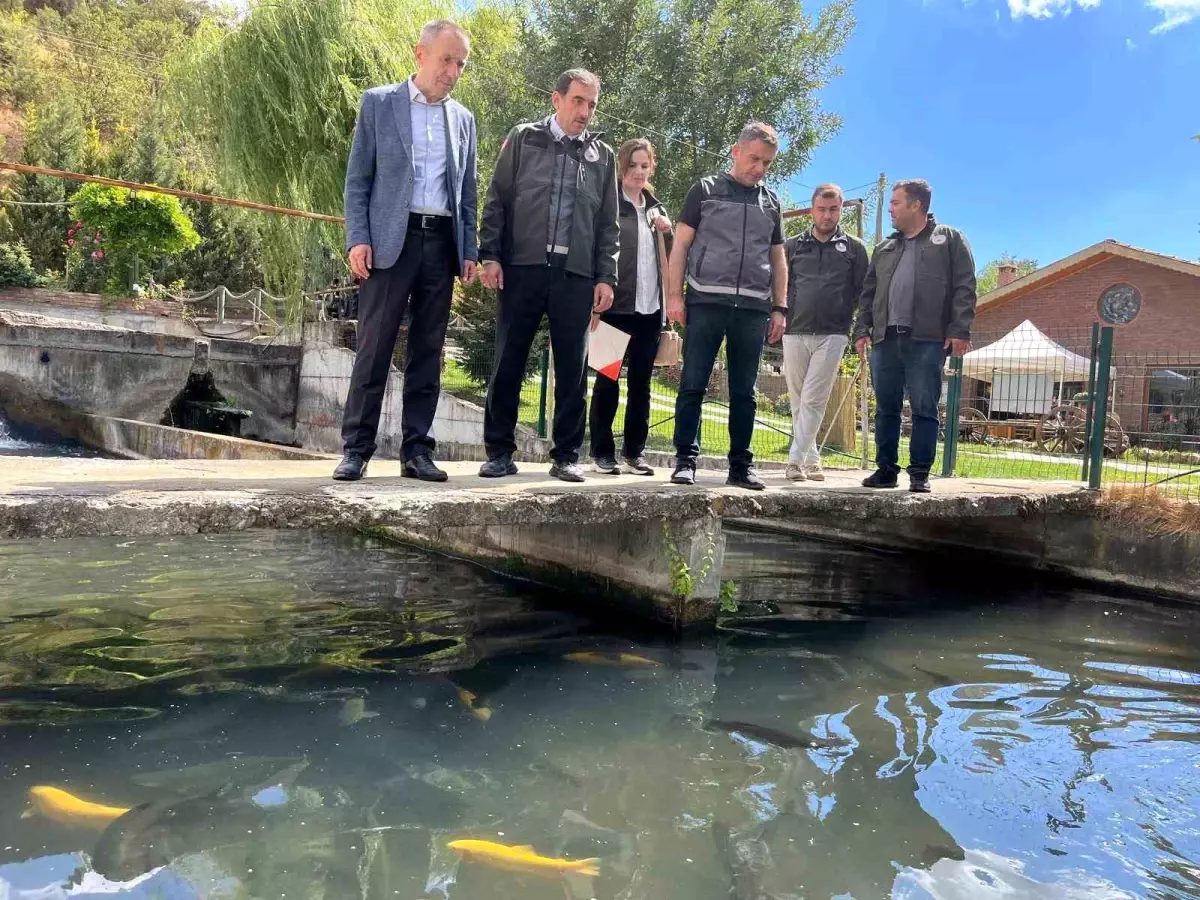 bilecikte alabalik tesisleri incelendi BcO5zyme