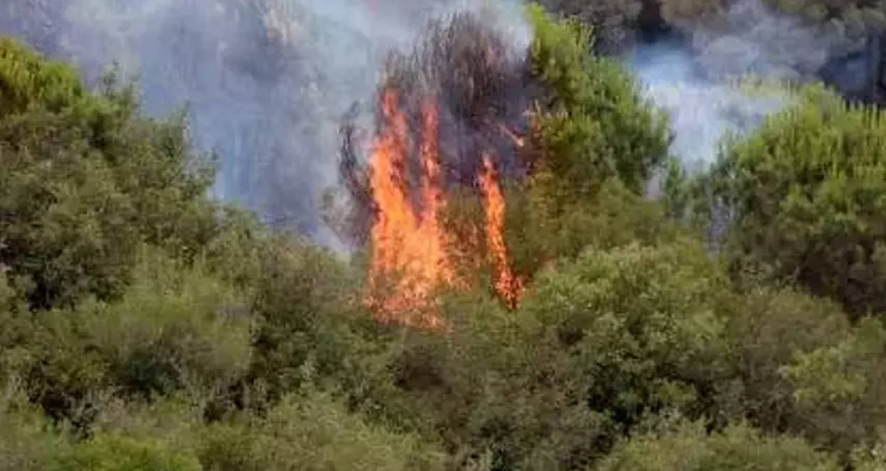istanbulda yangin panigi cok sayida ekip sevk edildi TTynN8aU