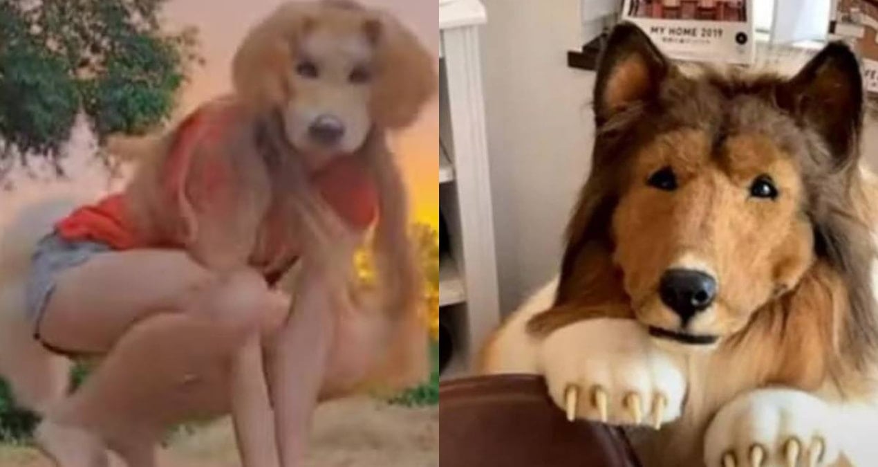 kopek olmak icin servet harcayan japon adama yeni rakip cikti yxYga86g