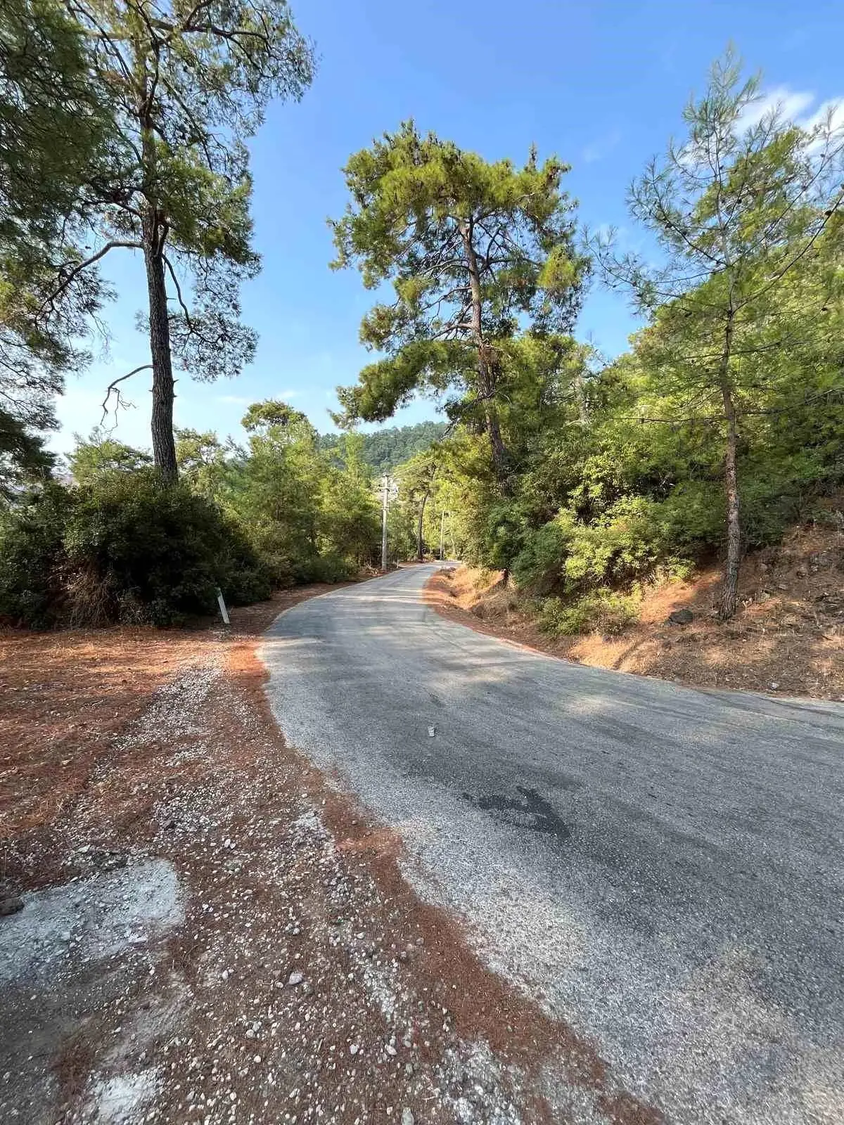 marmariste yangin onleme calismalari yayginlasirken eDUrIMjI