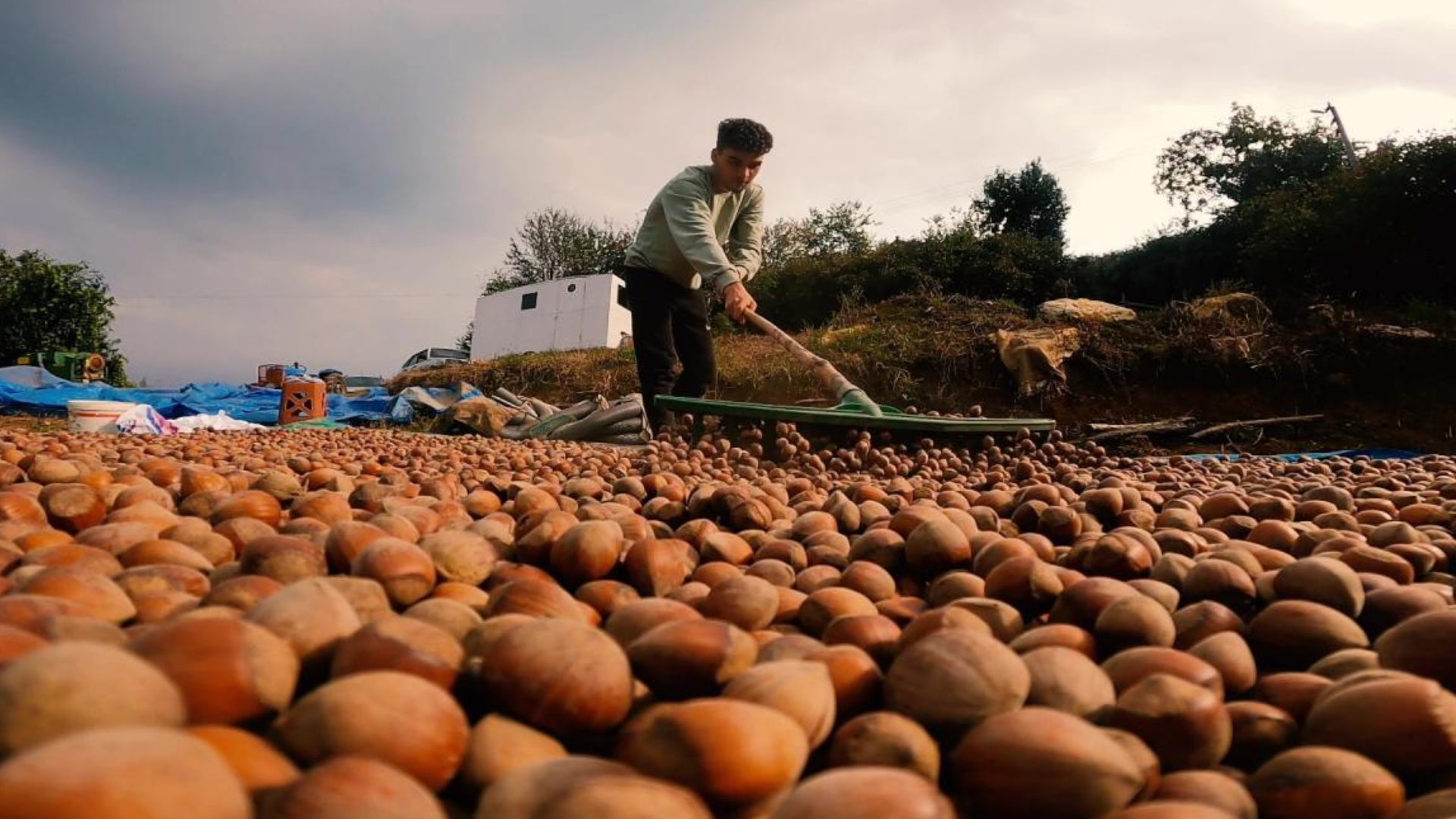 turkiye findik ihracatindan 9 ayda 16 milyar dolari askin gelir sagladi QWruD3ew.jpg