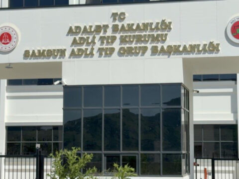Ihlamur agacindan dusen yasli adam yasamini yitirdi MytMcENs